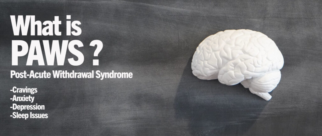Post-Acute Withdrawal Syndrome (PAWS)