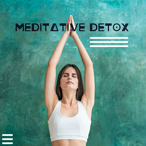 stress detoxification