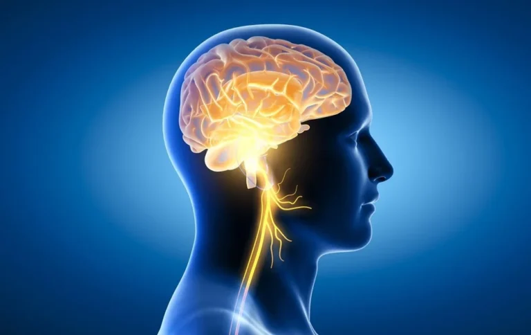 NET Brain Therapy India