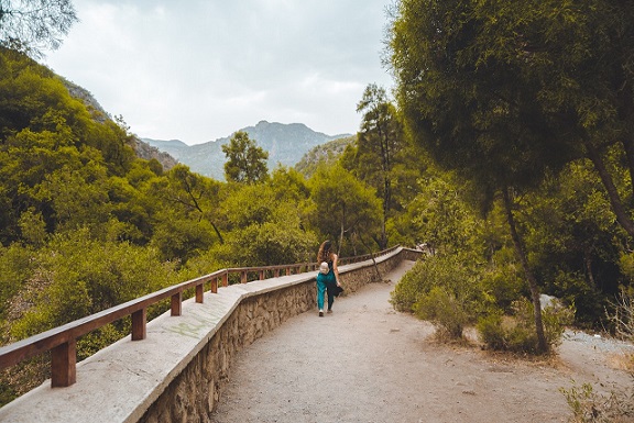 nature therapy in substance abuse, green therapy for recovery, mindfulness in nature recovery, forest therapy for addiction, natural healing for sobriety, therapeutic landscapes for recovery, best rehab center in Dehradun, nature-based addiction treatment 