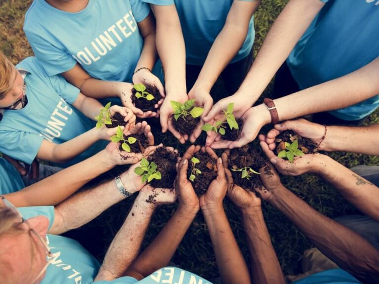 volunteering after rehab